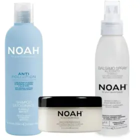 Pack Noah Cabello para Seco