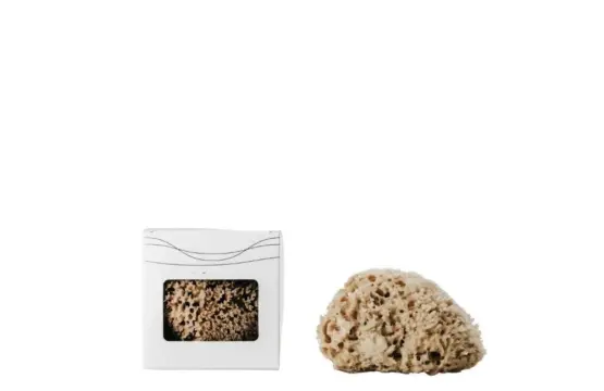 Banbu Esponja del Mar Mediterráneo – Corporal