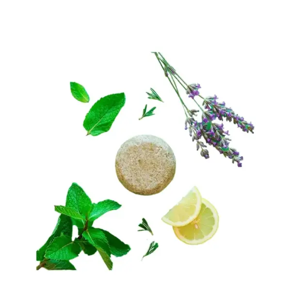 Alma Secret Champú Sólido Shikakai con Ortiga, Espirulina, Menta, Romero, Cedro, Limón y Lavanda 85g - 2